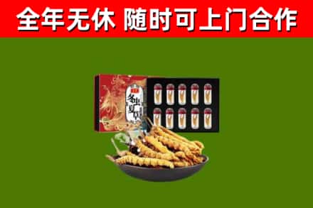 通江县回收冬虫夏草价格