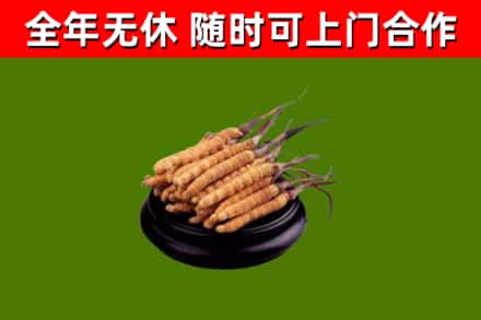 通江县烟酒回收冬虫夏草.jpg